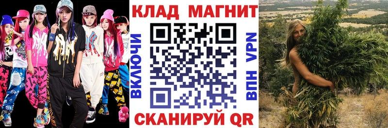 Где найти наркотики Сенгилей Альфа ПВП  Конопля  МЕФ  Амфетамин  Кокаин  ГАШ 
