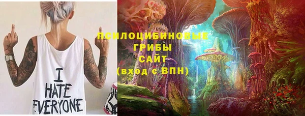бошки Балахна