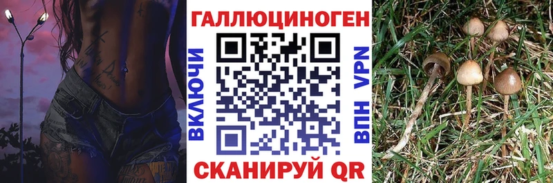 Галлюциногенные грибы прущие грибы  Сенгилей 