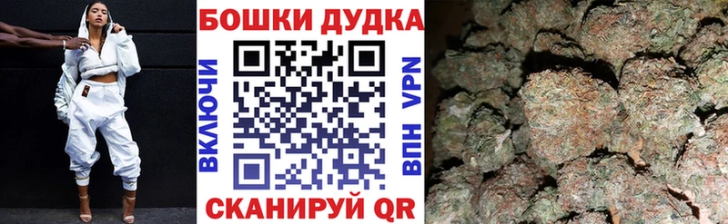 Бошки Шишки семена  Сенгилей 